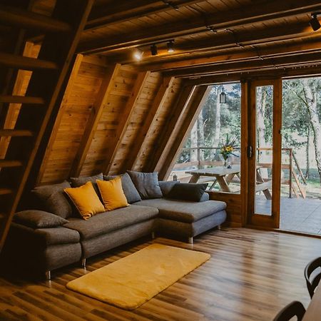 Mesa Summer House Zakrzewo  외부 사진